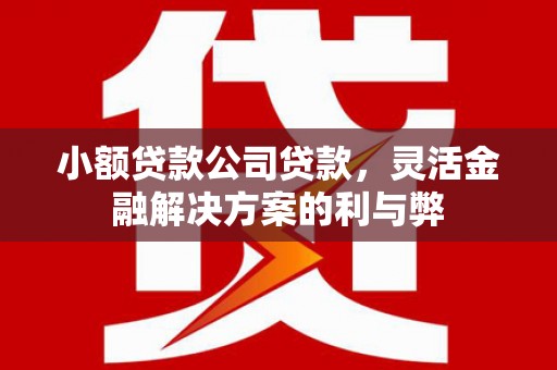 长城小额贷款公司贷款，灵活金融解决方案的利与弊