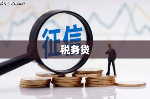 长城税务贷
